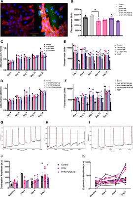 Plasma polymerized nanoparticles are a safe platform for direct delivery of growth factor therapy to the injured heart